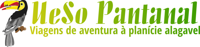 UeSo Academy
